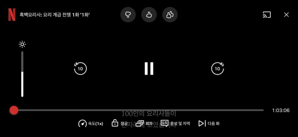 넷플릭스 캡쳐화면
